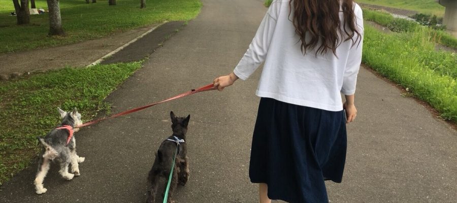 犬を散歩させる女性